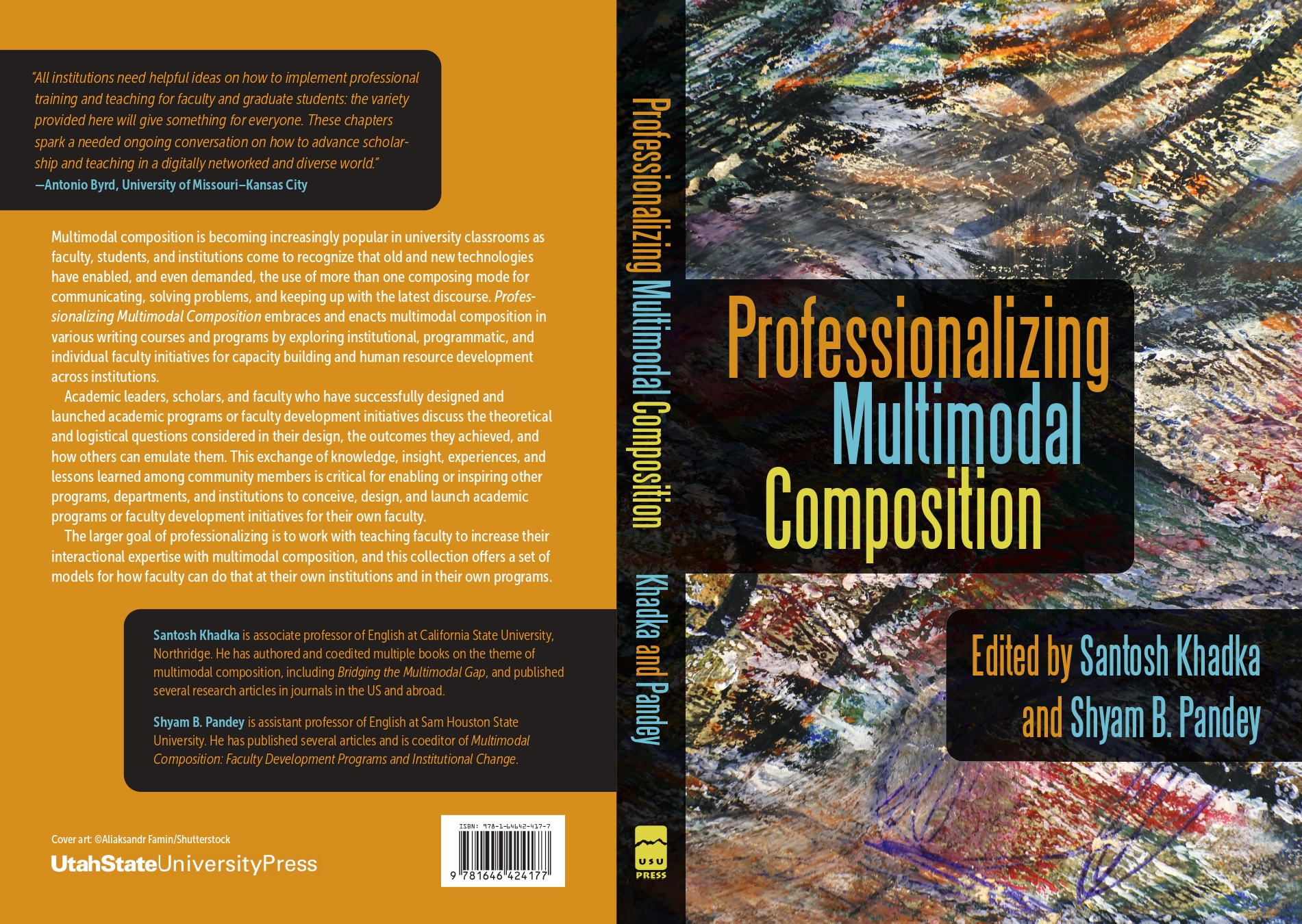 Professionalizing Multimodal composition